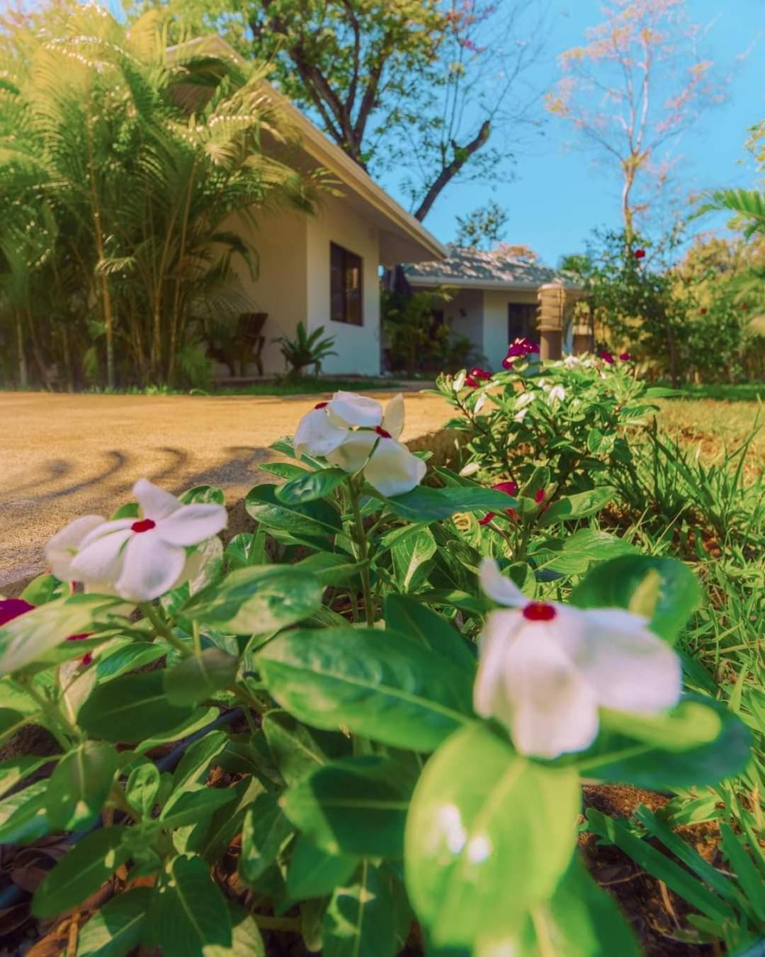 Buddha Retreat Hotel