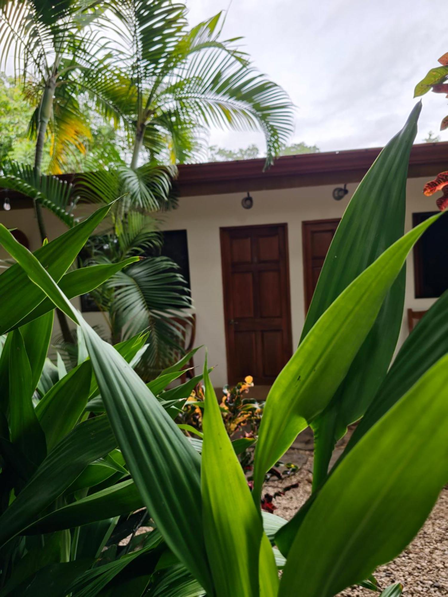 Buddha Retreat 2*
