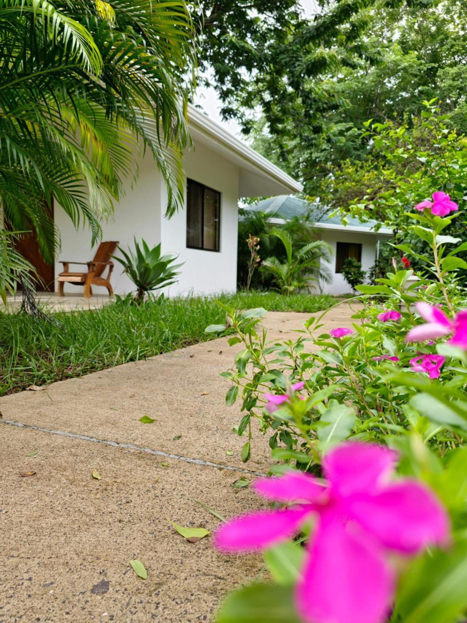 Hotel Buddha Retreat
