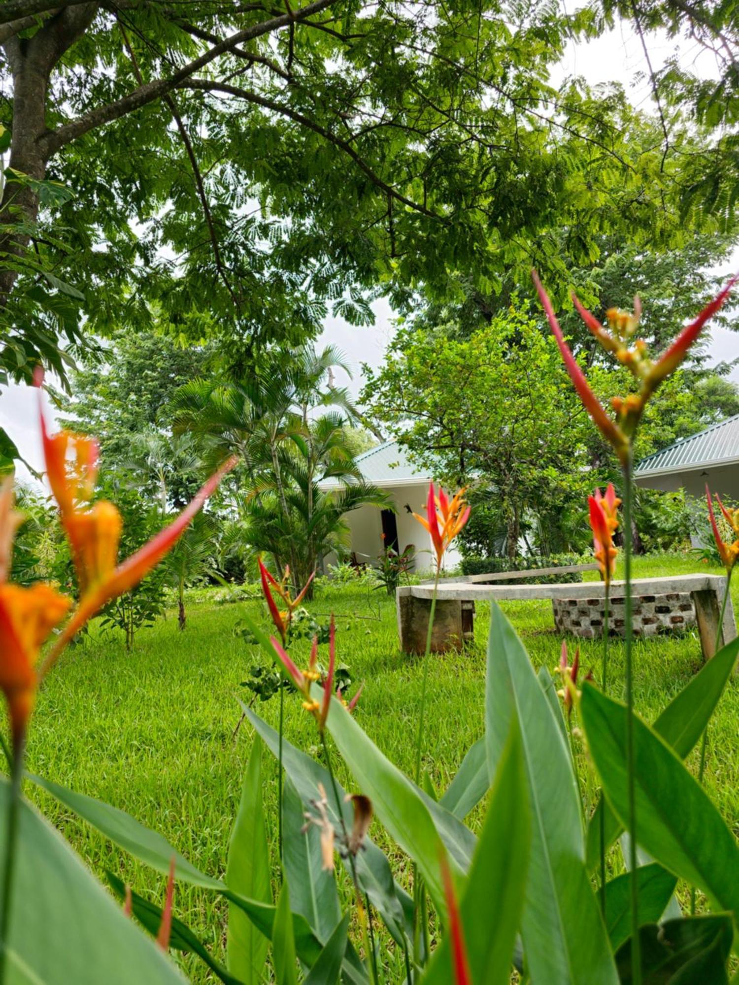 Hotel Buddha Retreat