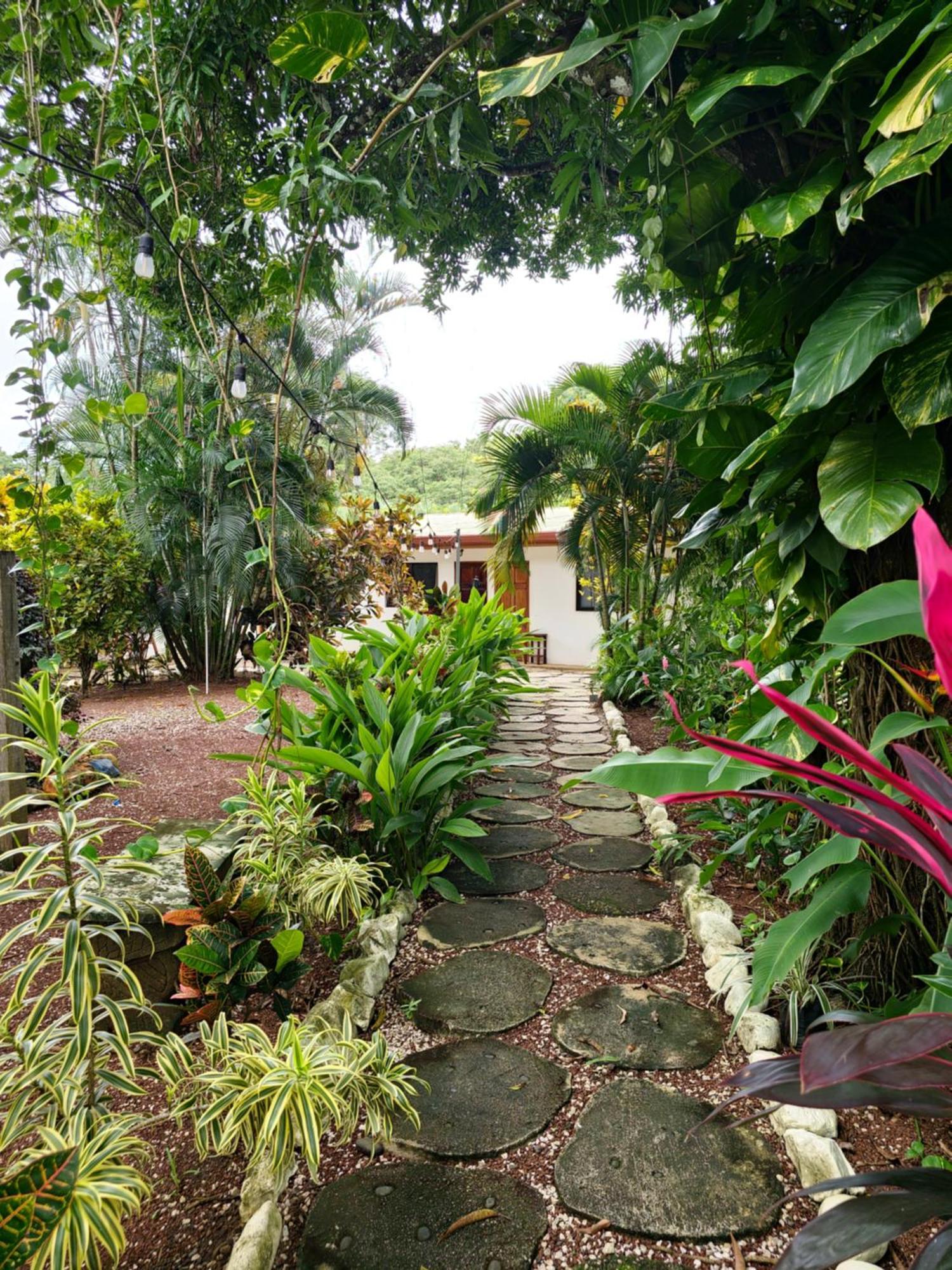 Buddha Retreat